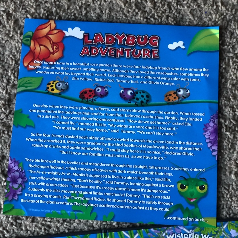 The Lady Bug Game - Picture 3 of 11
